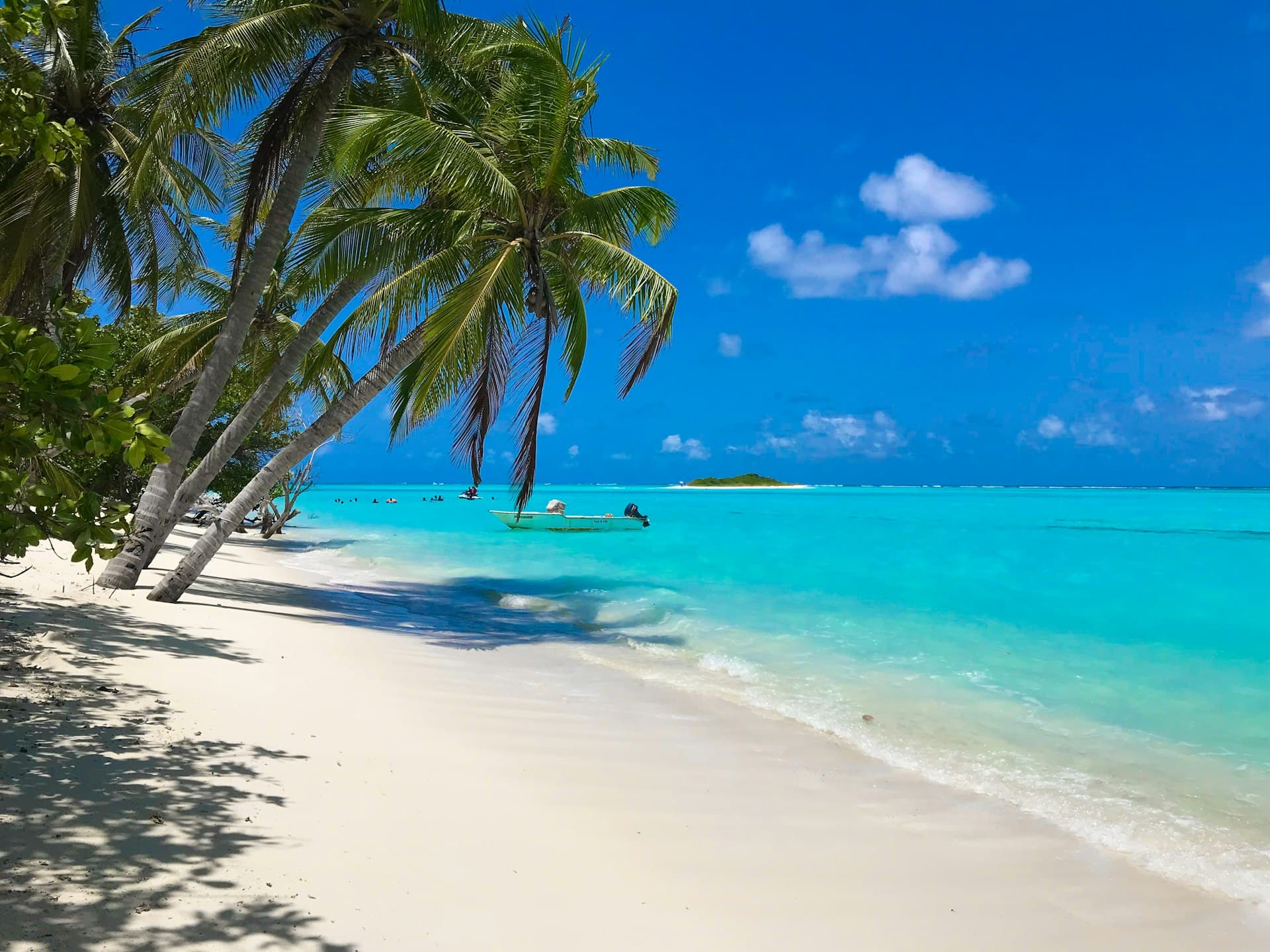 Tropical white-sand beach with palm trees and calm turquoise water